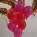 Ballontros 10 ballonnen
