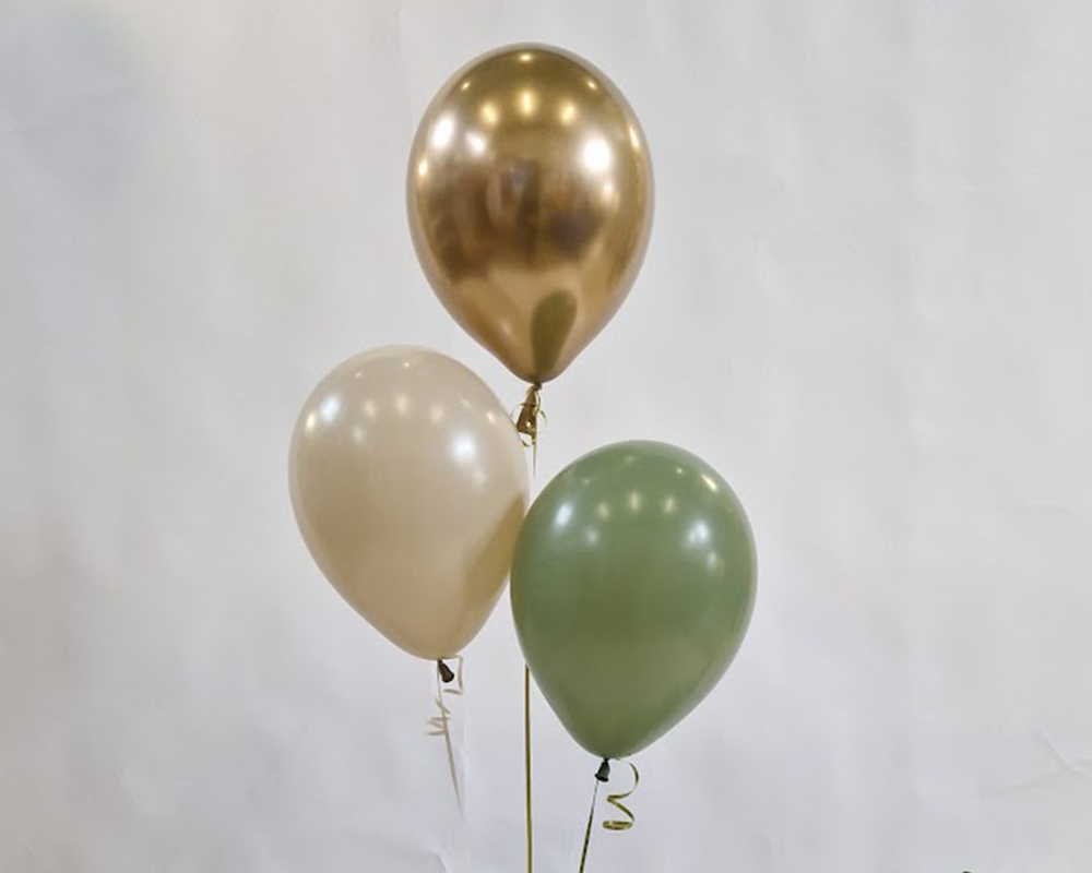 Ballontros 3 ballonnen