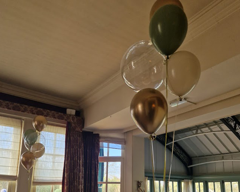 Ballontros 5 ballonnen