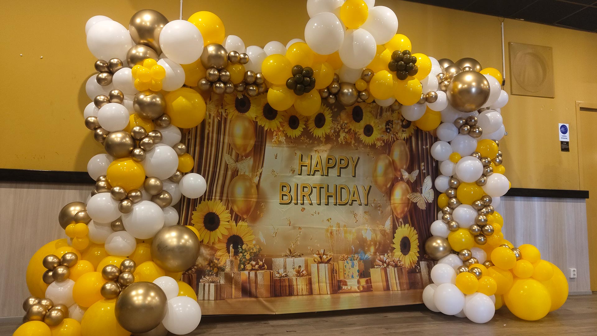 The Art of Balloons: ballonkunst, decoratie en creatieve projecten